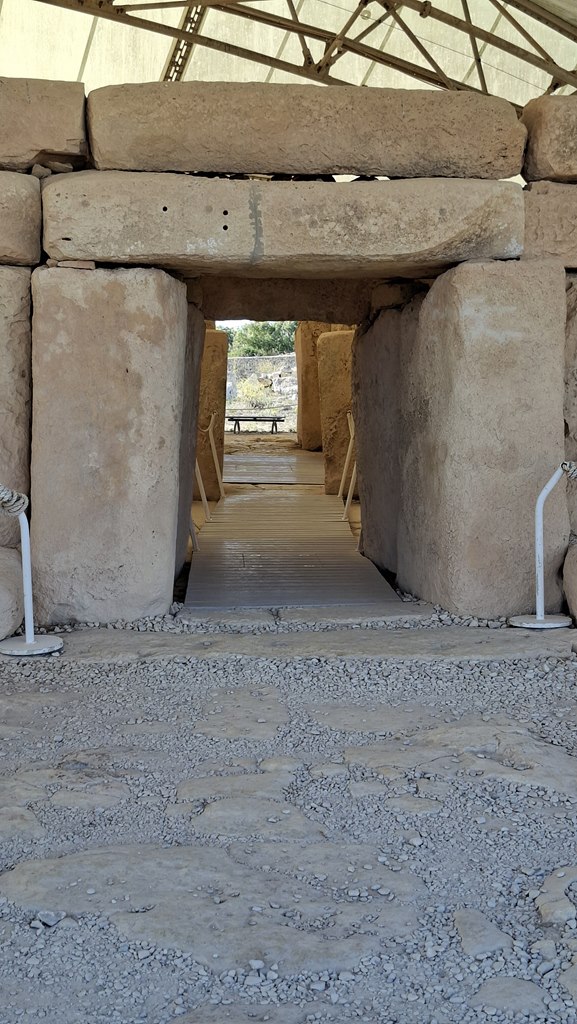 20250916 162525 (Copy)